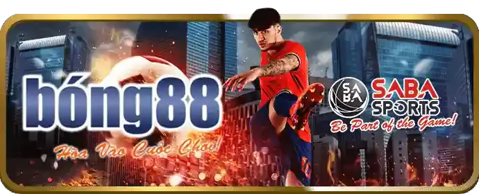 Trực tiếp chất lượng cao